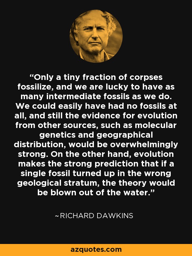 Only a tiny fraction of corpses fossilize, and we are lucky to have as many intermediate fossils as we do. We could easily have had no fossils at all, and still the evidence for evolution from other sources, such as molecular genetics and geographical distribution, would be overwhelmingly strong. On the other hand, evolution makes the strong prediction that if a single fossil turned up in the wrong geological stratum, the theory would be blown out of the water. - Richard Dawkins