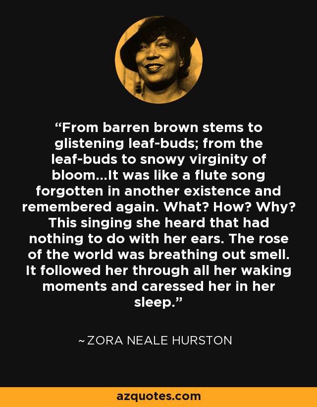 From barren brown stems to glistening leaf-buds; from the leaf-buds to snowy virginity of bloom…It was like a flute song forgotten in another existence and remembered again. What? How? Why? This singing she heard that had nothing to do with her ears. The rose of the world was breathing out smell. It followed her through all her waking moments and caressed her in her sleep. - Zora Neale Hurston