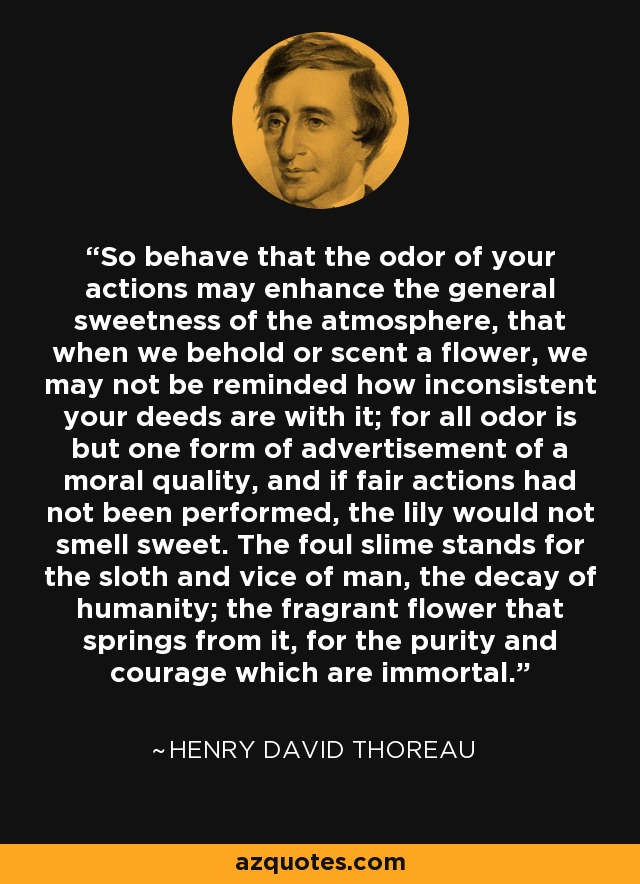 So behave that the odor of your actions may enhance the general sweetness of the atmosphere, that when we behold or scent a flower, we may not be reminded how inconsistent your deeds are with it; for all odor is but one form of advertisement of a moral quality, and if fair actions had not been performed, the lily would not smell sweet. The foul slime stands for the sloth and vice of man, the decay of humanity; the fragrant flower that springs from it, for the purity and courage which are immortal. - Henry David Thoreau