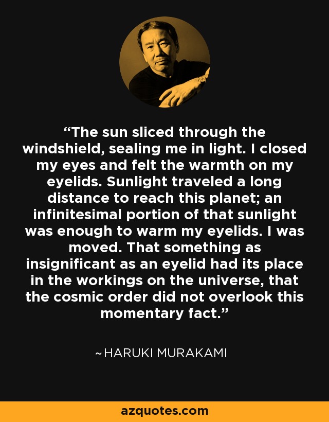 The sun sliced through the windshield, sealing me in light. I closed my eyes and felt the warmth on my eyelids. Sunlight traveled a long distance to reach this planet; an infinitesimal portion of that sunlight was enough to warm my eyelids. I was moved. That something as insignificant as an eyelid had its place in the workings on the universe, that the cosmic order did not overlook this momentary fact. - Haruki Murakami