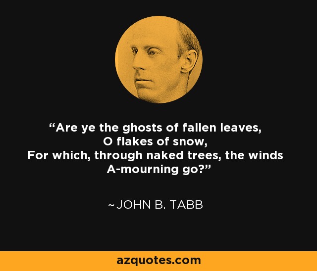 Are ye the ghosts of fallen leaves, O flakes of snow, For which, through naked trees, the winds A-mourning go? - John B. Tabb
