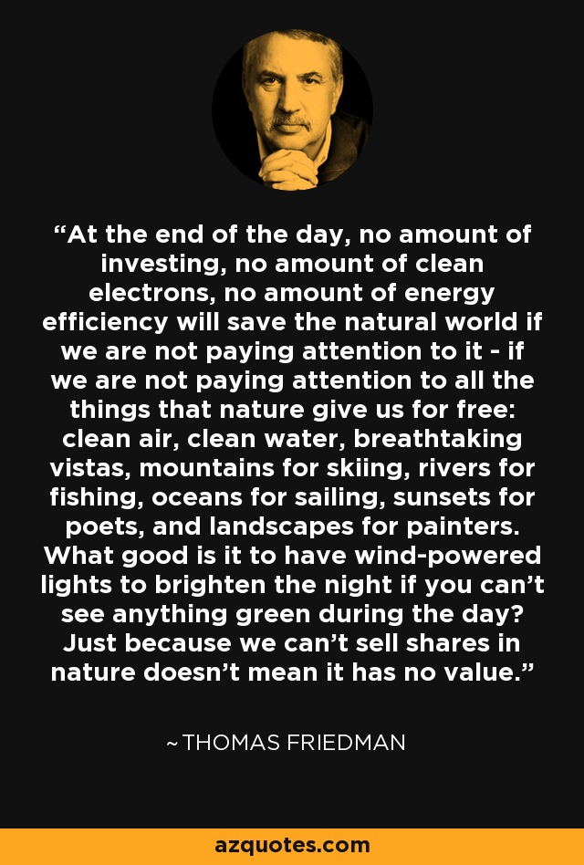 At the end of the day, no amount of investing, no amount of clean electrons, no amount of energy efficiency will save the natural world if we are not paying attention to it - if we are not paying attention to all the things that nature give us for free: clean air, clean water, breathtaking vistas, mountains for skiing, rivers for fishing, oceans for sailing, sunsets for poets, and landscapes for painters. What good is it to have wind-powered lights to brighten the night if you can't see anything green during the day? Just because we can't sell shares in nature doesn't mean it has no value. - Thomas Friedman