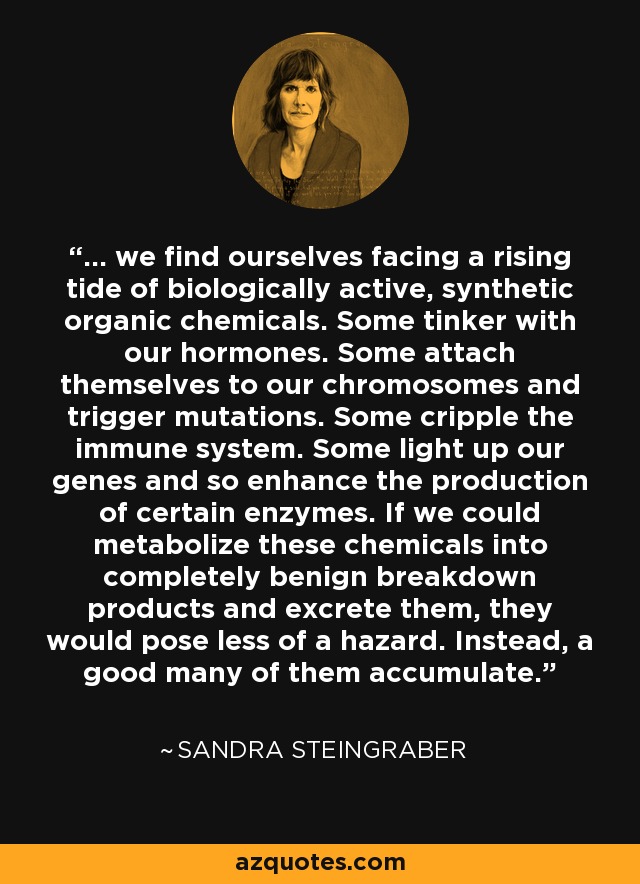 ... we find ourselves facing a rising tide of biologically active, synthetic organic chemicals. Some tinker with our hormones. Some attach themselves to our chromosomes and trigger mutations. Some cripple the immune system. Some light up our genes and so enhance the production of certain enzymes. If we could metabolize these chemicals into completely benign breakdown products and excrete them, they would pose less of a hazard. Instead, a good many of them accumulate. - Sandra Steingraber