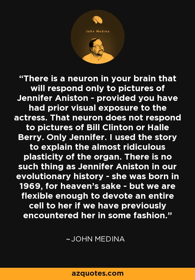 There is a neuron in your brain that will respond only to pictures of Jennifer Aniston - provided you have had prior visual exposure to the actress. That neuron does not respond to pictures of Bill Clinton or Halle Berry. Only Jennifer. I used the story to explain the almost ridiculous plasticity of the organ. There is no such thing as Jennifer Aniston in our evolutionary history - she was born in 1969, for heaven's sake - but we are flexible enough to devote an entire cell to her if we have previously encountered her in some fashion. - John Medina