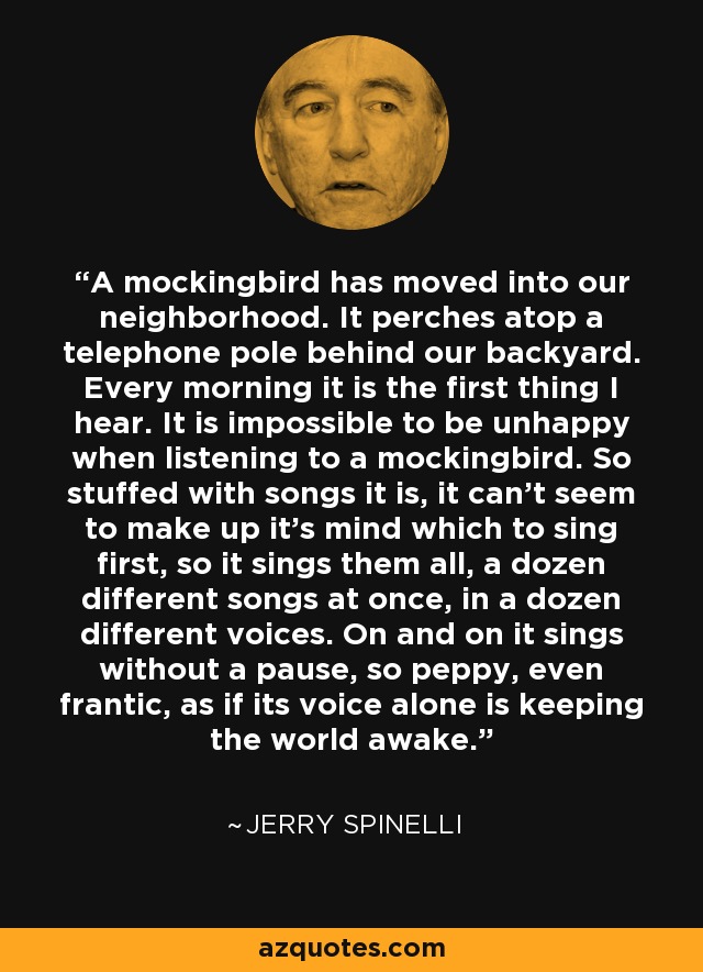 A mockingbird has moved into our neighborhood. It perches atop a telephone pole behind our backyard. Every morning it is the first thing I hear. It is impossible to be unhappy when listening to a mockingbird. So stuffed with songs it is, it can't seem to make up it's mind which to sing first, so it sings them all, a dozen different songs at once, in a dozen different voices. On and on it sings without a pause, so peppy, even frantic, as if its voice alone is keeping the world awake. - Jerry Spinelli