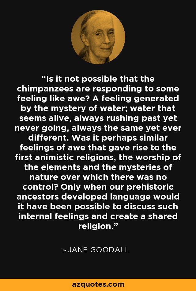 Is it not possible that the chimpanzees are responding to some feeling like awe? A feeling generated by the mystery of water; water that seems alive, always rushing past yet never going, always the same yet ever different. Was it perhaps similar feelings of awe that gave rise to the first animistic religions, the worship of the elements and the mysteries of nature over which there was no control? Only when our prehistoric ancestors developed language would it have been possible to discuss such internal feelings and create a shared religion. - Jane Goodall