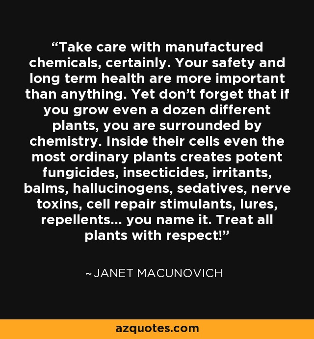 Take care with manufactured chemicals, certainly. Your safety and long term health are more important than anything. Yet don't forget that if you grow even a dozen different plants, you are surrounded by chemistry. Inside their cells even the most ordinary plants creates potent fungicides, insecticides, irritants, balms, hallucinogens, sedatives, nerve toxins, cell repair stimulants, lures, repellents... you name it. Treat all plants with respect! - Janet Macunovich