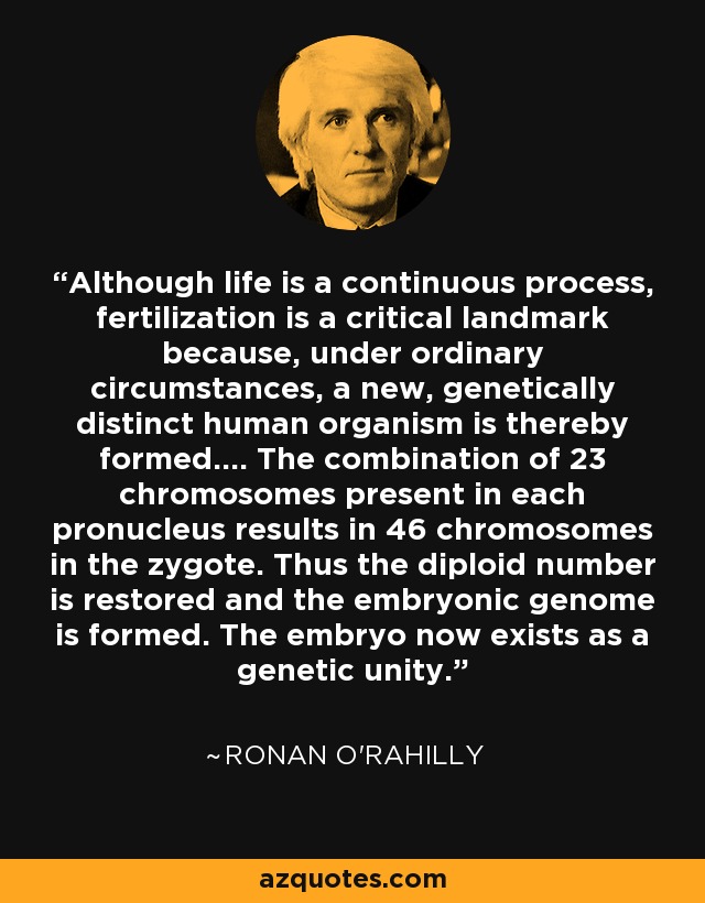 Although life is a continuous process, fertilization is a critical landmark because, under ordinary circumstances, a new, genetically distinct human organism is thereby formed.... The combination of 23 chromosomes present in each pronucleus results in 46 chromosomes in the zygote. Thus the diploid number is restored and the embryonic genome is formed. The embryo now exists as a genetic unity. - Ronan O'Rahilly