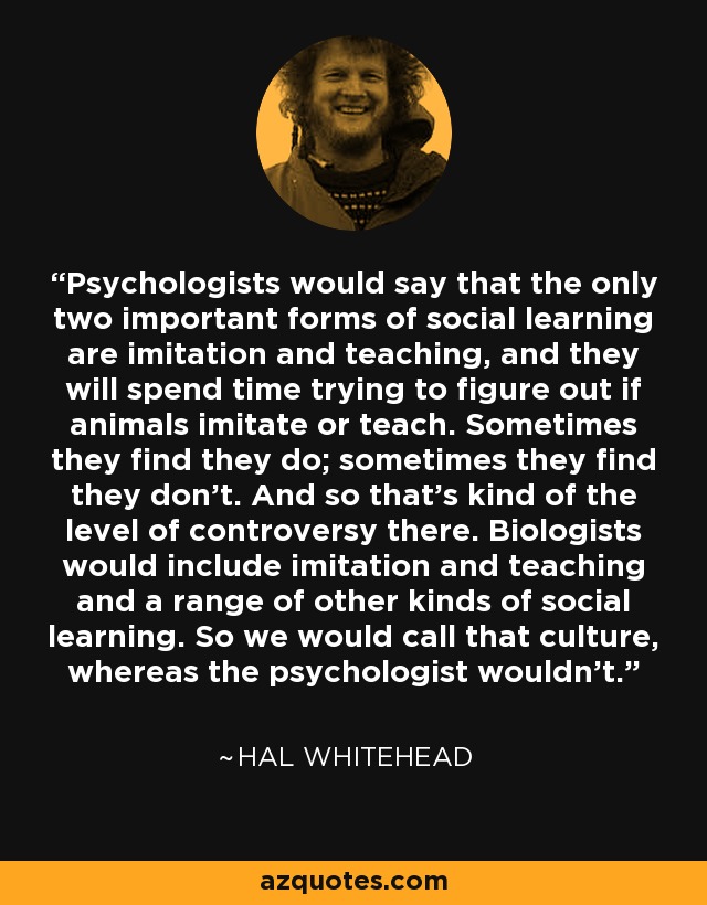 Psychologists would say that the only two important forms of social learning are imitation and teaching, and they will spend time trying to figure out if animals imitate or teach. Sometimes they find they do; sometimes they find they don't. And so that's kind of the level of controversy there. Biologists would include imitation and teaching and a range of other kinds of social learning. So we would call that culture, whereas the psychologist wouldn't. - Hal Whitehead