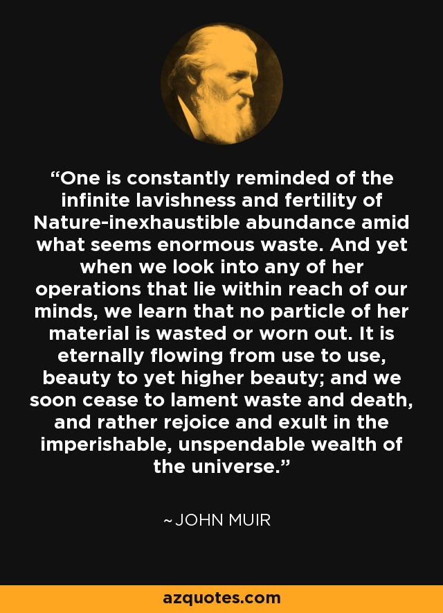 One is constantly reminded of the infinite lavishness and fertility of Nature-inexhaustible abundance amid what seems enormous waste. And yet when we look into any of her operations that lie within reach of our minds, we learn that no particle of her material is wasted or worn out. It is eternally flowing from use to use, beauty to yet higher beauty; and we soon cease to lament waste and death, and rather rejoice and exult in the imperishable, unspendable wealth of the universe. - John Muir