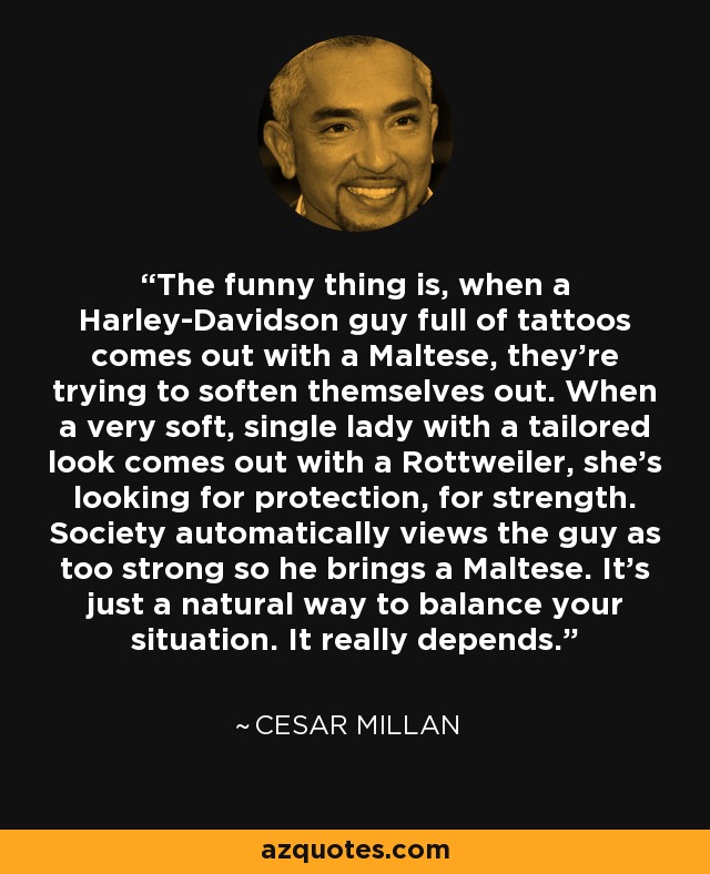 The funny thing is, when a Harley-Davidson guy full of tattoos comes out with a Maltese, they're trying to soften themselves out. When a very soft, single lady with a tailored look comes out with a Rottweiler, she’s looking for protection, for strength. Society automatically views the guy as too strong so he brings a Maltese. It's just a natural way to balance your situation. It really depends. - Cesar Millan
