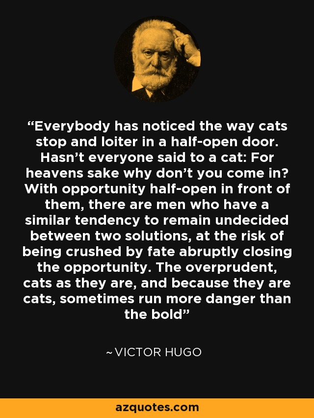 Everybody has noticed the way cats stop and loiter in a half-open door. Hasn't everyone said to a cat: For heavens sake why don't you come in? With opportunity half-open in front of them, there are men who have a similar tendency to remain undecided between two solutions, at the risk of being crushed by fate abruptly closing the opportunity. The overprudent, cats as they are, and because they are cats, sometimes run more danger than the bold - Victor Hugo