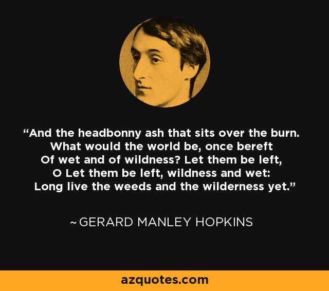 And the headbonny ash that sits over the burn. What would the world be, once bereft Of wet and of wildness? Let them be left, O Let them be left, wildness and wet: Long live the weeds and the wilderness yet. - Gerard Manley Hopkins