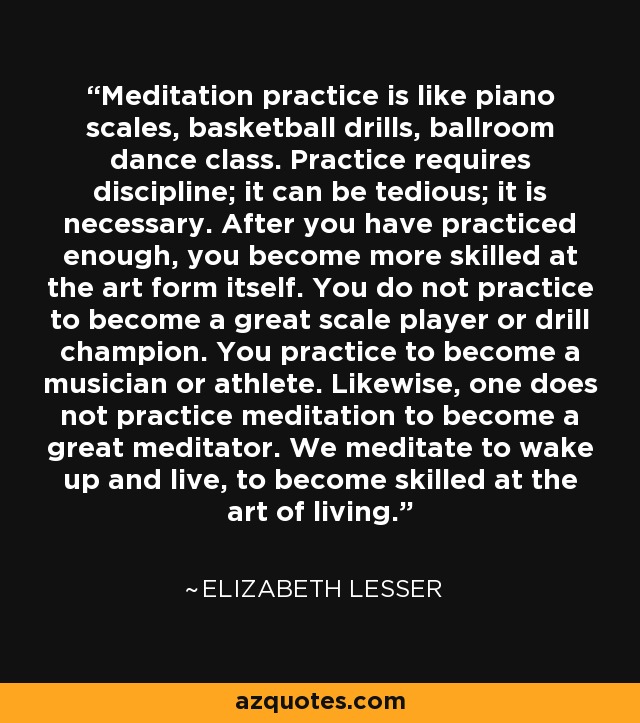 Meditation practice is like piano scales, basketball drills, ballroom dance class. Practice requires discipline; it can be tedious; it is necessary. After you have practiced enough, you become more skilled at the art form itself. You do not practice to become a great scale player or drill champion. You practice to become a musician or athlete. Likewise, one does not practice meditation to become a great meditator. We meditate to wake up and live, to become skilled at the art of living. - Elizabeth Lesser