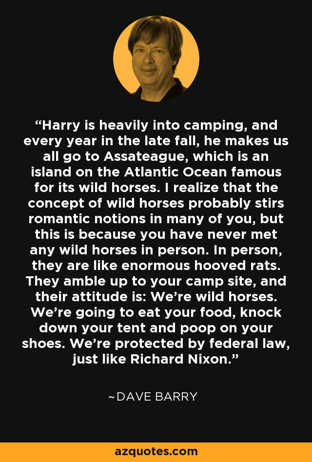 Harry is heavily into camping, and every year in the late fall, he makes us all go to Assateague, which is an island on the Atlantic Ocean famous for its wild horses. I realize that the concept of wild horses probably stirs romantic notions in many of you, but this is because you have never met any wild horses in person. In person, they are like enormous hooved rats. They amble up to your camp site, and their attitude is: We're wild horses. We're going to eat your food, knock down your tent and poop on your shoes. We're protected by federal law, just like Richard Nixon. - Dave Barry