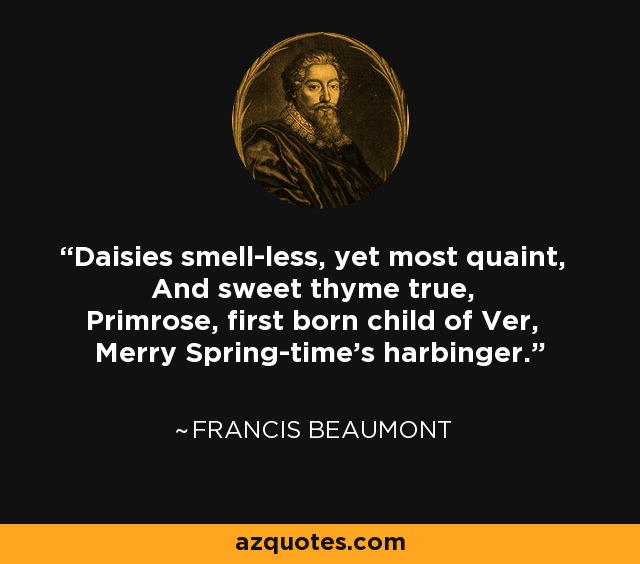 Daisies smell-less, yet most quaint, And sweet thyme true, Primrose, first born child of Ver, Merry Spring-time's harbinger. - Francis Beaumont