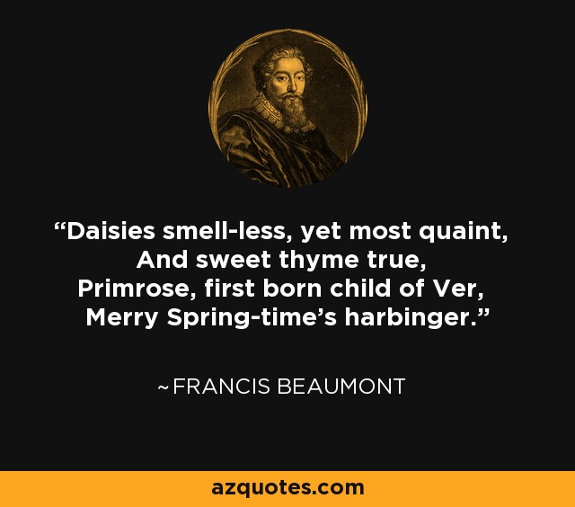 Daisies smell-less, yet most quaint, And sweet thyme true, Primrose, first born child of Ver, Merry Spring-time's harbinger. - Francis Beaumont