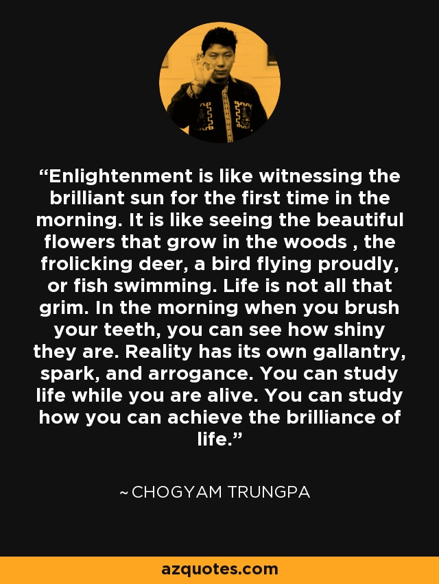 Enlightenment is like witnessing the brilliant sun for the first time in the morning. It is like seeing the beautiful flowers that grow in the woods , the frolicking deer, a bird flying proudly, or fish swimming. Life is not all that grim. In the morning when you brush your teeth, you can see how shiny they are. Reality has its own gallantry, spark, and arrogance. You can study life while you are alive. You can study how you can achieve the brilliance of life. - Chogyam Trungpa