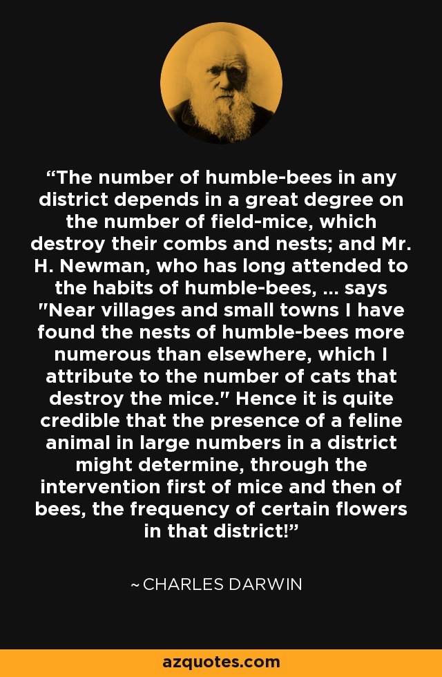The number of humble-bees in any district depends in a great degree on the number of field-mice, which destroy their combs and nests; and Mr. H. Newman, who has long attended to the habits of humble-bees, ... says 