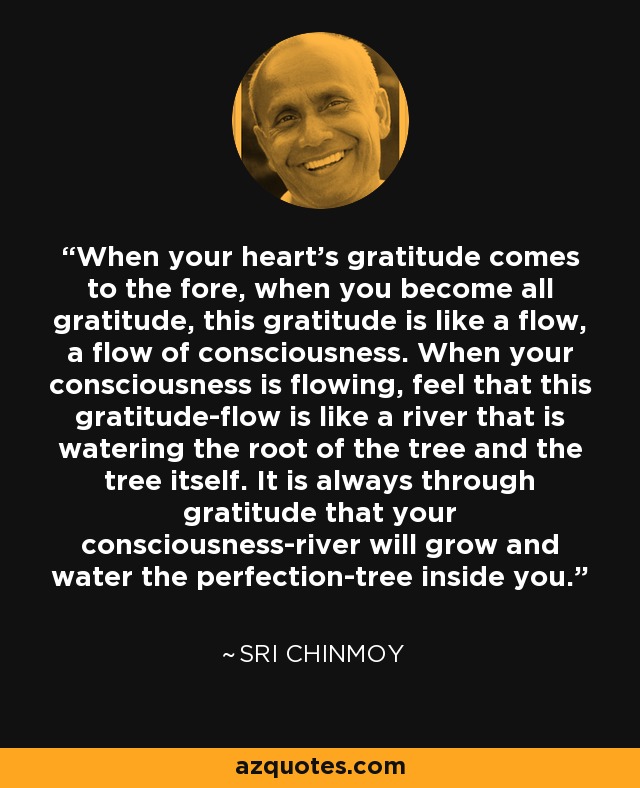 When your heart's gratitude comes to the fore, when you become all gratitude, this gratitude is like a flow, a flow of consciousness. When your consciousness is flowing, feel that this gratitude-flow is like a river that is watering the root of the tree and the tree itself. It is always through gratitude that your consciousness-river will grow and water the perfection-tree inside you. - Sri Chinmoy
