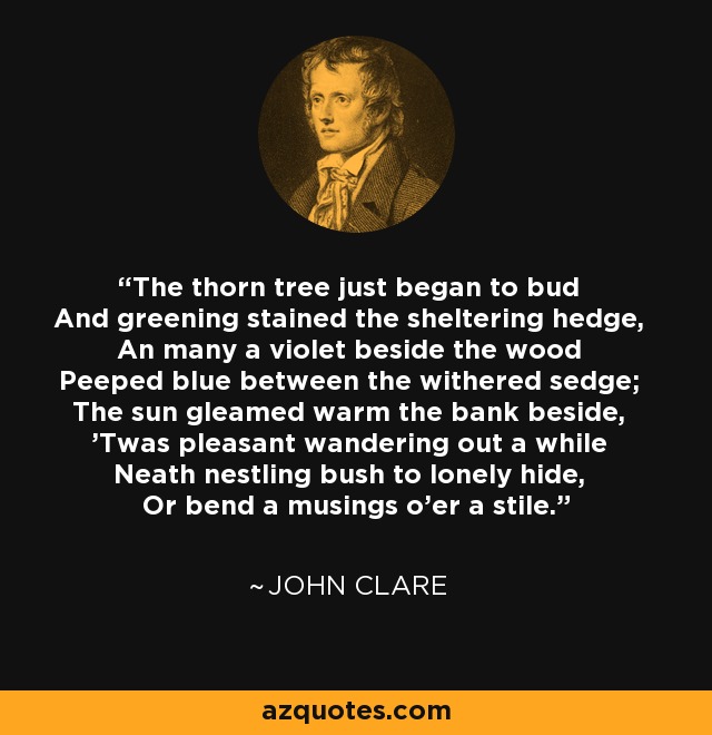 The thorn tree just began to bud And greening stained the sheltering hedge, An many a violet beside the wood Peeped blue between the withered sedge; The sun gleamed warm the bank beside, 'Twas pleasant wandering out a while Neath nestling bush to lonely hide, Or bend a musings o'er a stile. - John Clare