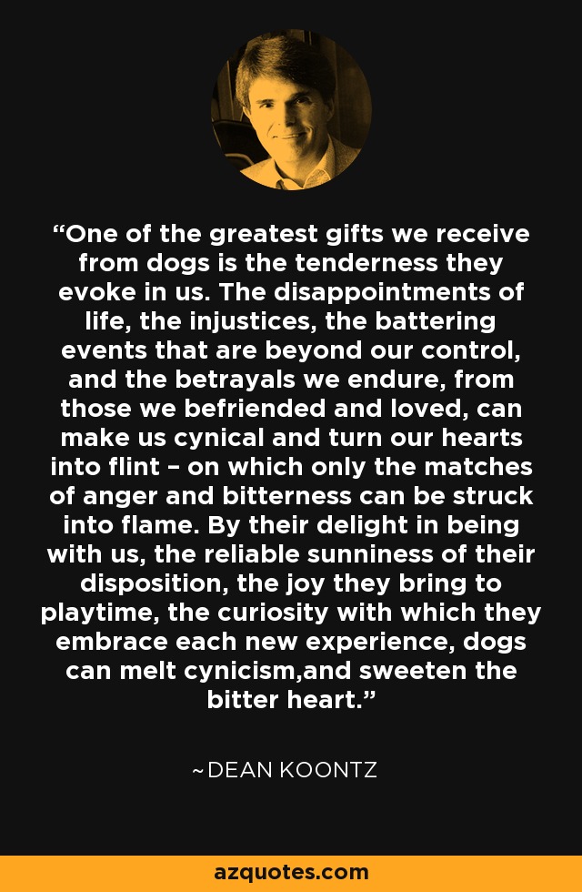 One of the greatest gifts we receive from dogs is the tenderness they evoke in us. The disappointments of life, the injustices, the battering events that are beyond our control, and the betrayals we endure, from those we befriended and loved, can make us cynical and turn our hearts into flint – on which only the matches of anger and bitterness can be struck into flame. By their delight in being with us, the reliable sunniness of their disposition, the joy they bring to playtime, the curiosity with which they embrace each new experience, dogs can melt cynicism,and sweeten the bitter heart. - Dean Koontz