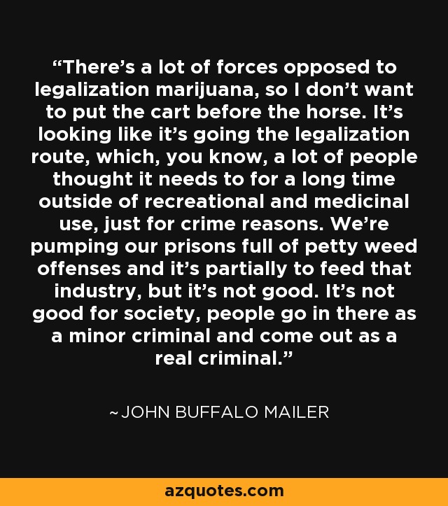 There's a lot of forces opposed to legalization marijuana, so I don't want to put the cart before the horse. It's looking like it's going the legalization route, which, you know, a lot of people thought it needs to for a long time outside of recreational and medicinal use, just for crime reasons. We're pumping our prisons full of petty weed offenses and it's partially to feed that industry, but it's not good. It's not good for society, people go in there as a minor criminal and come out as a real criminal. - John Buffalo Mailer
