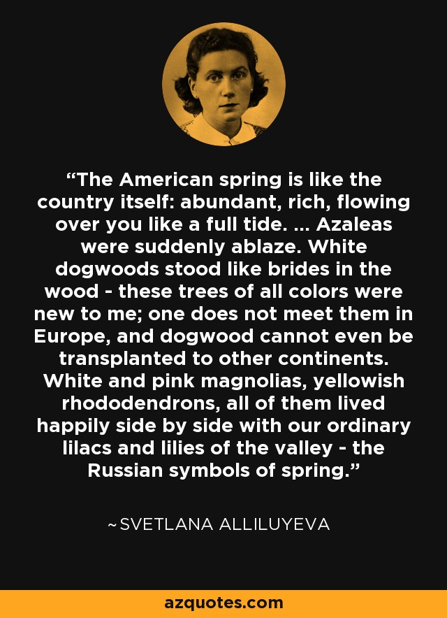 The American spring is like the country itself: abundant, rich, flowing over you like a full tide. ... Azaleas were suddenly ablaze. White dogwoods stood like brides in the wood - these trees of all colors were new to me; one does not meet them in Europe, and dogwood cannot even be transplanted to other continents. White and pink magnolias, yellowish rhododendrons, all of them lived happily side by side with our ordinary lilacs and lilies of the valley - the Russian symbols of spring. - Svetlana Alliluyeva