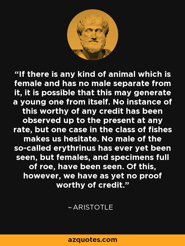 If there is any kind of animal which is female and has no male separate from it, it is possible that this may generate a young one from itself. No instance of this worthy of any credit has been observed up to the present at any rate, but one case in the class of fishes makes us hesitate. No male of the so-called erythrinus has ever yet been seen, but females, and specimens full of roe, have been seen. Of this, however, we have as yet no proof worthy of credit. - Aristotle