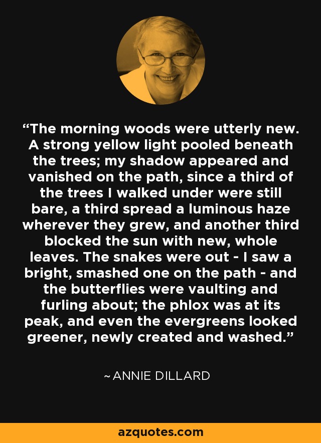 The morning woods were utterly new. A strong yellow light pooled beneath the trees; my shadow appeared and vanished on the path, since a third of the trees I walked under were still bare, a third spread a luminous haze wherever they grew, and another third blocked the sun with new, whole leaves. The snakes were out - I saw a bright, smashed one on the path - and the butterflies were vaulting and furling about; the phlox was at its peak, and even the evergreens looked greener, newly created and washed. - Annie Dillard