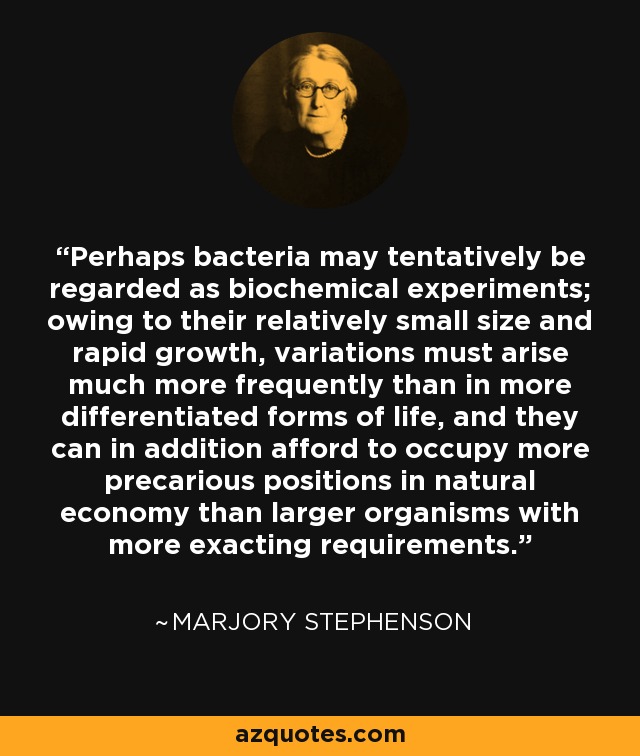 Perhaps bacteria may tentatively be regarded as biochemical experiments; owing to their relatively small size and rapid growth, variations must arise much more frequently than in more differentiated forms of life, and they can in addition afford to occupy more precarious positions in natural economy than larger organisms with more exacting requirements. - Marjory Stephenson