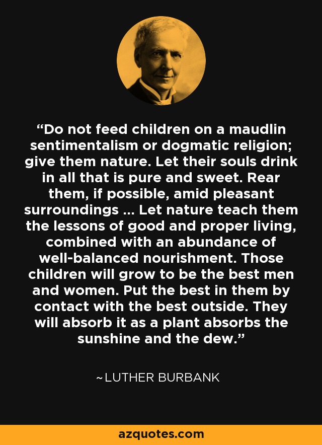 Do not feed children on a maudlin sentimentalism or dogmatic religion; give them nature. Let their souls drink in all that is pure and sweet. Rear them, if possible, amid pleasant surroundings ... Let nature teach them the lessons of good and proper living, combined with an abundance of well-balanced nourishment. Those children will grow to be the best men and women. Put the best in them by contact with the best outside. They will absorb it as a plant absorbs the sunshine and the dew. - Luther Burbank