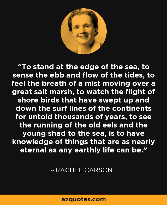 To stand at the edge of the sea, to sense the ebb and flow of the tides, to feel the breath of a mist moving over a great salt marsh, to watch the flight of shore birds that have swept up and down the surf lines of the continents for untold thousands of years, to see the running of the old eels and the young shad to the sea, is to have knowledge of things that are as nearly eternal as any earthly life can be. - Rachel Carson