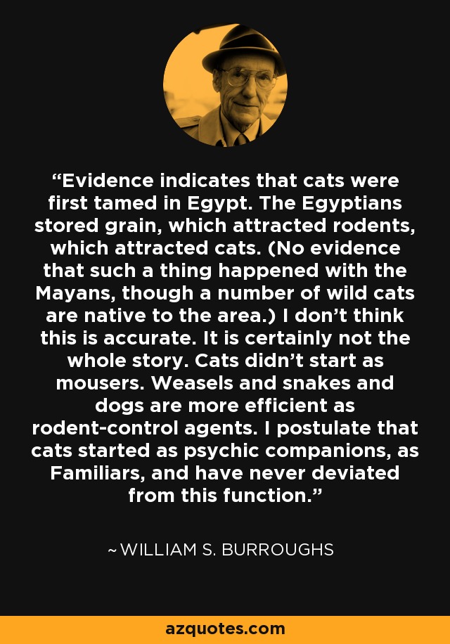 Evidence indicates that cats were first tamed in Egypt. The Egyptians stored grain, which attracted rodents, which attracted cats. (No evidence that such a thing happened with the Mayans, though a number of wild cats are native to the area.) I don't think this is accurate. It is certainly not the whole story. Cats didn't start as mousers. Weasels and snakes and dogs are more efficient as rodent-control agents. I postulate that cats started as psychic companions, as Familiars, and have never deviated from this function. - William S. Burroughs