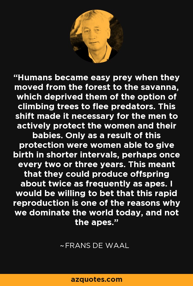 Humans became easy prey when they moved from the forest to the savanna, which deprived them of the option of climbing trees to flee predators. This shift made it necessary for the men to actively protect the women and their babies. Only as a result of this protection were women able to give birth in shorter intervals, perhaps once every two or three years. This meant that they could produce offspring about twice as frequently as apes. I would be willing to bet that this rapid reproduction is one of the reasons why we dominate the world today, and not the apes. - Frans de Waal