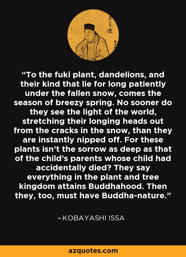 To the fuki plant, dandelions, and their kind that lie for long patiently under the fallen snow, comes the season of breezy spring. No sooner do they see the light of the world, stretching their longing heads out from the cracks in the snow, than they are instantly nipped off. For these plants isn't the sorrow as deep as that of the child's parents whose child had accidentally died? They say everything in the plant and tree kingdom attains Buddhahood. Then they, too, must have Buddha-nature. - Kobayashi Issa