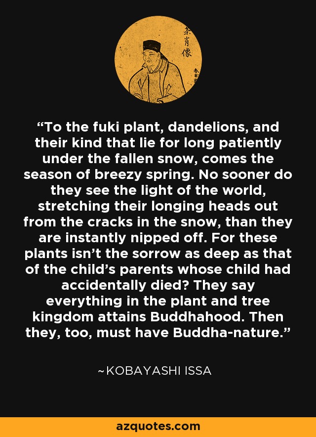 To the fuki plant, dandelions, and their kind that lie for long patiently under the fallen snow, comes the season of breezy spring. No sooner do they see the light of the world, stretching their longing heads out from the cracks in the snow, than they are instantly nipped off. For these plants isn't the sorrow as deep as that of the child's parents whose child had accidentally died? They say everything in the plant and tree kingdom attains Buddhahood. Then they, too, must have Buddha-nature. - Kobayashi Issa