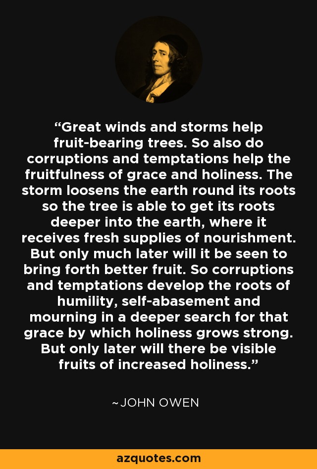 Great winds and storms help fruit-bearing trees. So also do corruptions and temptations help the fruitfulness of grace and holiness. The storm loosens the earth round its roots so the tree is able to get its roots deeper into the earth, where it receives fresh supplies of nourishment. But only much later will it be seen to bring forth better fruit. So corruptions and temptations develop the roots of humility, self-abasement and mourning in a deeper search for that grace by which holiness grows strong. But only later will there be visible fruits of increased holiness. - John Owen