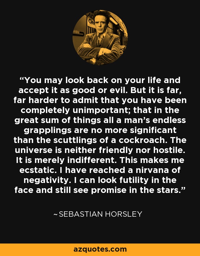 You may look back on your life and accept it as good or evil. But it is far, far harder to admit that you have been completely unimportant; that in the great sum of things all a man's endless grapplings are no more significant than the scuttlings of a cockroach. The universe is neither friendly nor hostile. It is merely indifferent. This makes me ecstatic. I have reached a nirvana of negativity. I can look futility in the face and still see promise in the stars. - Sebastian Horsley