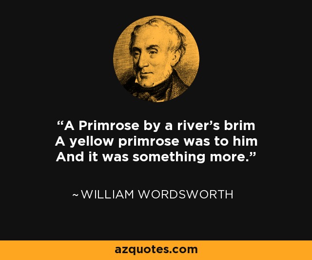 A Primrose by a river's brim A yellow primrose was to him And it was something more. - William Wordsworth