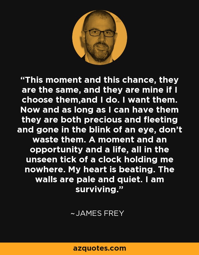 This moment and this chance, they are the same, and they are mine if I choose them,and I do. I want them. Now and as long as I can have them they are both precious and fleeting and gone in the blink of an eye, don't waste them. A moment and an opportunity and a life, all in the unseen tick of a clock holding me nowhere. My heart is beating. The walls are pale and quiet. I am surviving. - James Frey