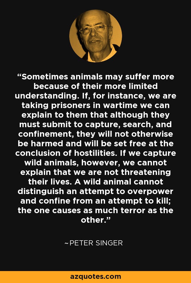 Sometimes animals may suffer more because of their more limited understanding. If, for instance, we are taking prisoners in wartime we can explain to them that although they must submit to capture, search, and confinement, they will not otherwise be harmed and will be set free at the conclusion of hostilities. If we capture wild animals, however, we cannot explain that we are not threatening their lives. A wild animal cannot distinguish an attempt to overpower and confine from an attempt to kill; the one causes as much terror as the other. - Peter Singer