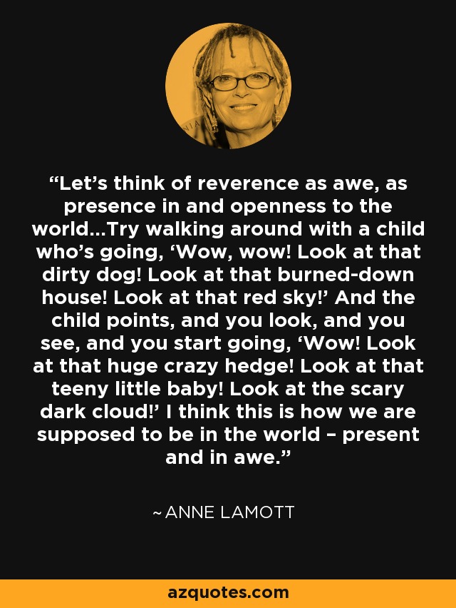 Let’s think of reverence as awe, as presence in and openness to the world…Try walking around with a child who’s going, ‘Wow, wow! Look at that dirty dog! Look at that burned-down house! Look at that red sky!’ And the child points, and you look, and you see, and you start going, ‘Wow! Look at that huge crazy hedge! Look at that teeny little baby! Look at the scary dark cloud!’ I think this is how we are supposed to be in the world – present and in awe. - Anne Lamott