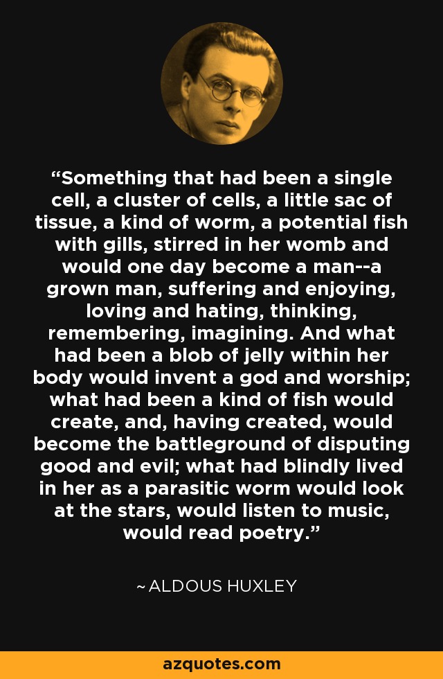 Something that had been a single cell, a cluster of cells, a little sac of tissue, a kind of worm, a potential fish with gills, stirred in her womb and would one day become a man--a grown man, suffering and enjoying, loving and hating, thinking, remembering, imagining. And what had been a blob of jelly within her body would invent a god and worship; what had been a kind of fish would create, and, having created, would become the battleground of disputing good and evil; what had blindly lived in her as a parasitic worm would look at the stars, would listen to music, would read poetry. - Aldous Huxley