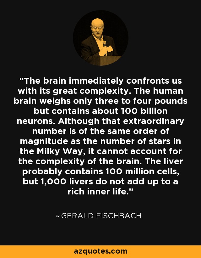 The brain immediately confronts us with its great complexity. The human brain weighs only three to four pounds but contains about 100 billion neurons. Although that extraordinary number is of the same order of magnitude as the number of stars in the Milky Way, it cannot account for the complexity of the brain. The liver probably contains 100 million cells, but 1,000 livers do not add up to a rich inner life. - Gerald Fischbach