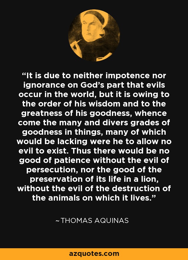 It is due to neither impotence nor ignorance on God’s part that evils occur in the world, but it is owing to the order of his wisdom and to the greatness of his goodness, whence come the many and divers grades of goodness in things, many of which would be lacking were he to allow no evil to exist. Thus there would be no good of patience without the evil of persecution, nor the good of the preservation of its life in a lion, without the evil of the destruction of the animals on which it lives. - Thomas Aquinas