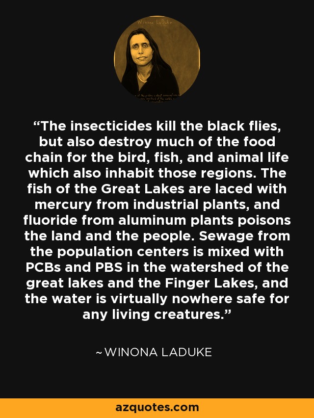 The insecticides kill the black flies, but also destroy much of the food chain for the bird, fish, and animal life which also inhabit those regions. The fish of the Great Lakes are laced with mercury from industrial plants, and fluoride from aluminum plants poisons the land and the people. Sewage from the population centers is mixed with PCBs and PBS in the watershed of the great lakes and the Finger Lakes, and the water is virtually nowhere safe for any living creatures. - Winona LaDuke