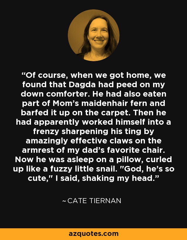 Of course, when we got home, we found that Dagda had peed on my down comforter. He had also eaten part of Mom's maidenhair fern and barfed it up on the carpet. Then he had apparently worked himself into a frenzy sharpening his ting by amazingly effective claws on the armrest of my dad's favorite chair. Now he was asleep on a pillow, curled up like a fuzzy little snail. 