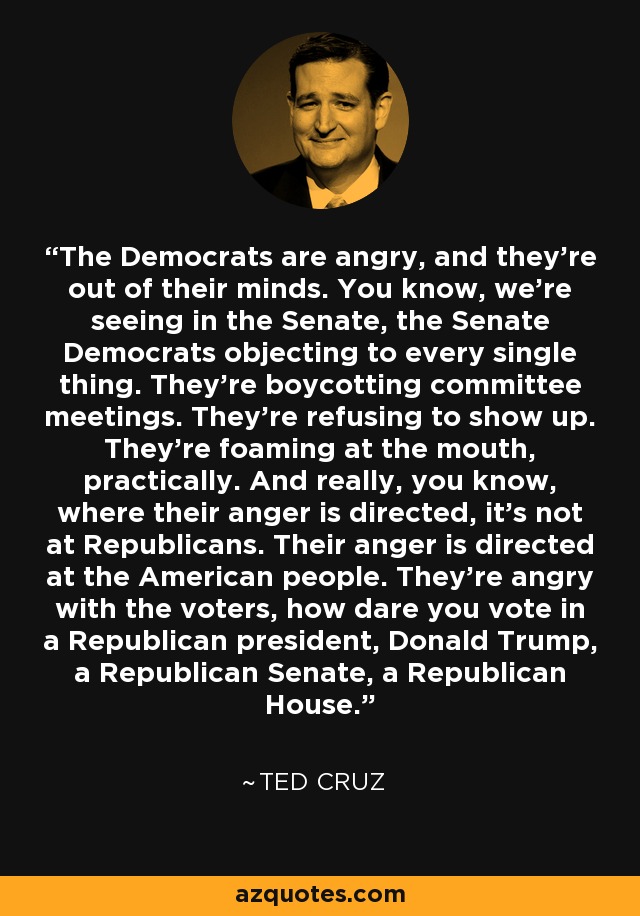 The Democrats are angry, and they're out of their minds. You know, we're seeing in the Senate, the Senate Democrats objecting to every single thing. They're boycotting committee meetings. They're refusing to show up. They're foaming at the mouth, practically. And really, you know, where their anger is directed, it's not at Republicans. Their anger is directed at the American people. They're angry with the voters, how dare you vote in a Republican president, Donald Trump, a Republican Senate, a Republican House. - Ted Cruz