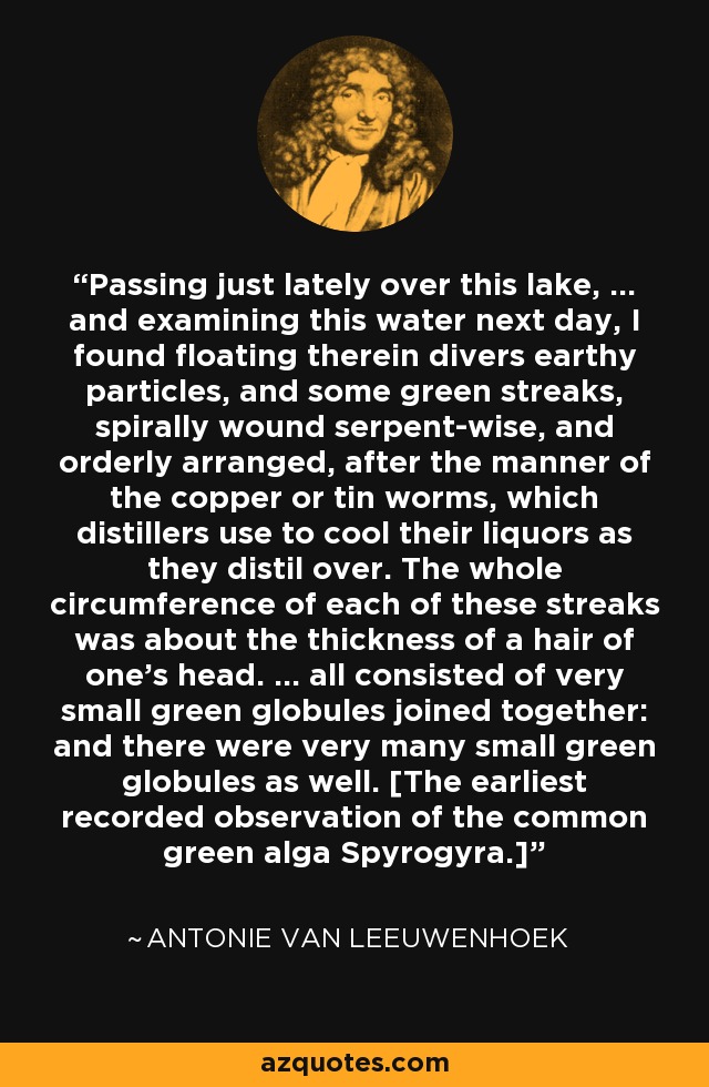 Passing just lately over this lake, ... and examining this water next day, I found floating therein divers earthy particles, and some green streaks, spirally wound serpent-wise, and orderly arranged, after the manner of the copper or tin worms, which distillers use to cool their liquors as they distil over. The whole circumference of each of these streaks was about the thickness of a hair of one's head. ... all consisted of very small green globules joined together: and there were very many small green globules as well. [The earliest recorded observation of the common green alga Spyrogyra.] - Antonie van Leeuwenhoek